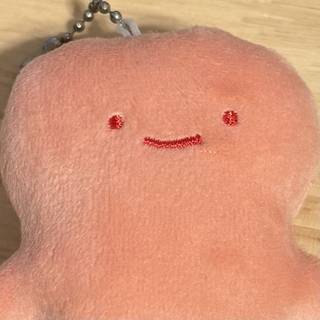 カズサ