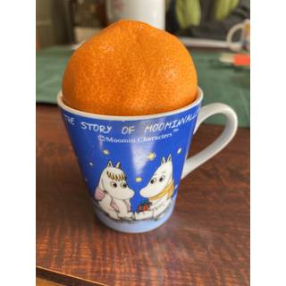 かんきつ