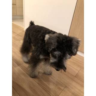 げんき