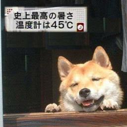 ノブ