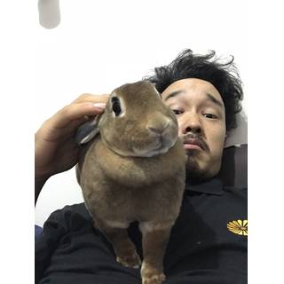 キム太郎