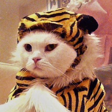 Morris@ゲームマーケット秋【土M79】トロイホース