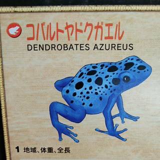 くるみとみるく