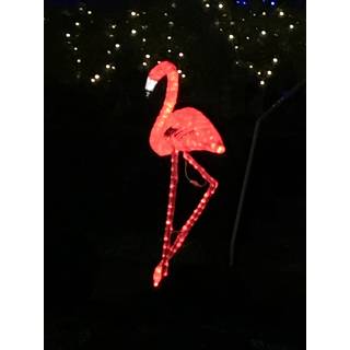 しらまゆ