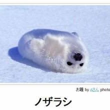 はかの