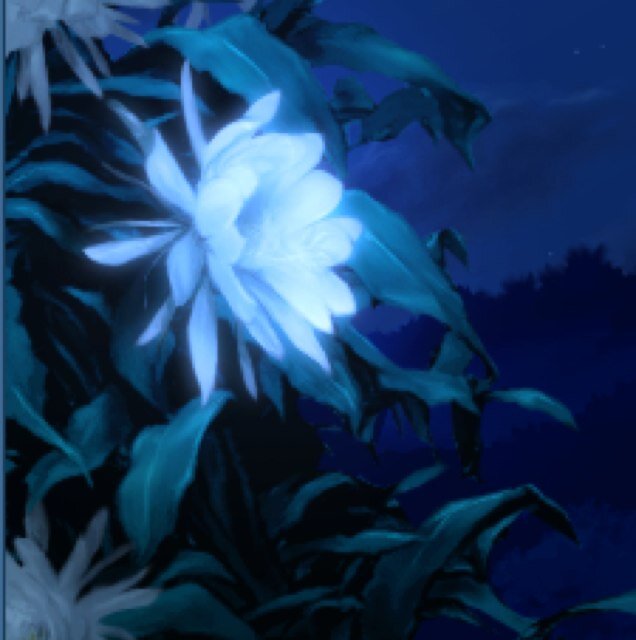 gekkabijin0719
