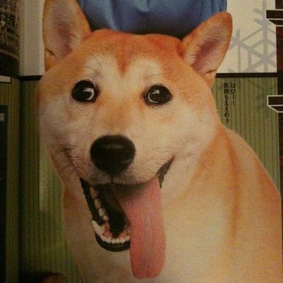 ぺどろん