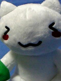 もかむー