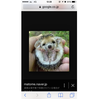 みお
