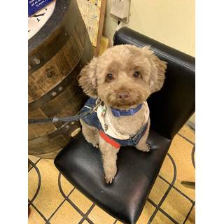 岩国ボードゲームカフェエリア51