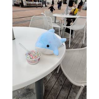 まりも