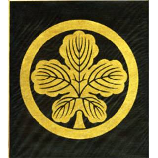aaaa