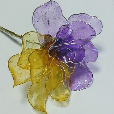 ﾀﾞｲｽｷｬｽﾀｰｽﾞ@知る人ぞ知る隠れた名店ポジ