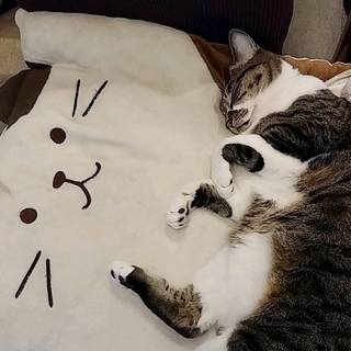 翠