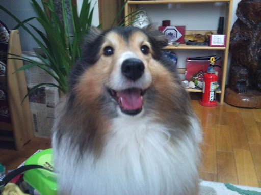 小林隆太郎