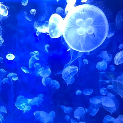 コバルト