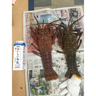 わやな