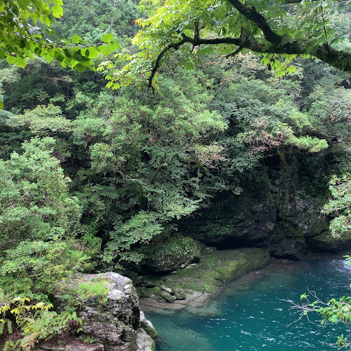 伊奈信祐