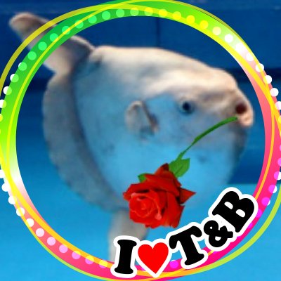 ❤️おちんりょ💚