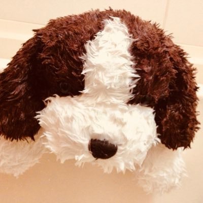 きゅん