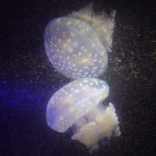 ガタガタガタガタ