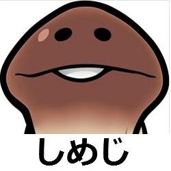 椎茸（まつたけ）
