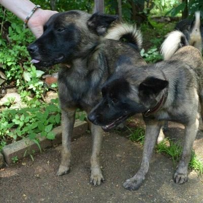 Baileyzz🇯🇵🇺🇸