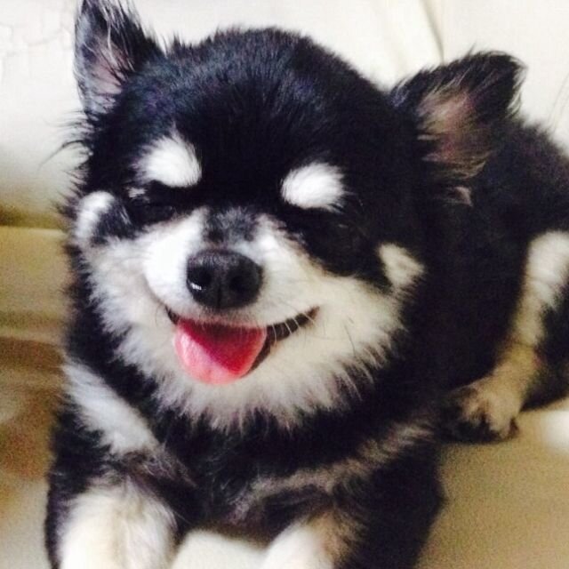 みか