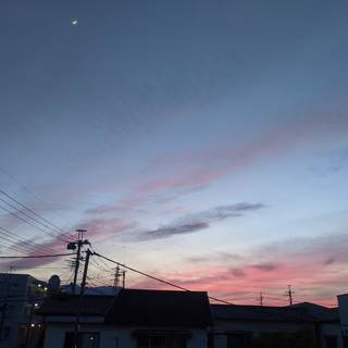 カツオのたたき