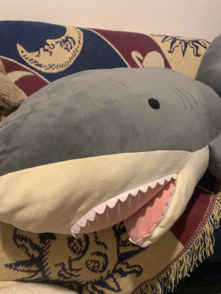シンノクウ