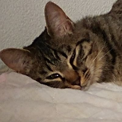 ユウキ