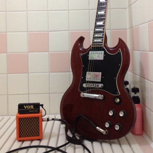 ヤナギブソンSG