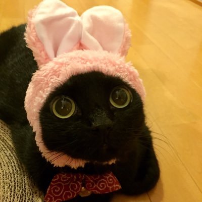 とめっち