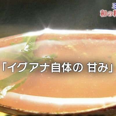 イグアナ(旧名：ジャクソンカメレオン)