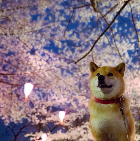 ベクトルE