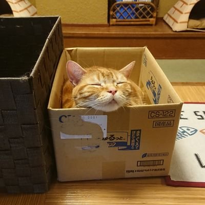 ぺいぺい