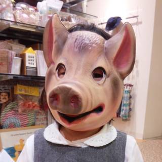 砂丘ボドゲライフ