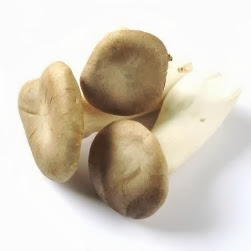 eringi