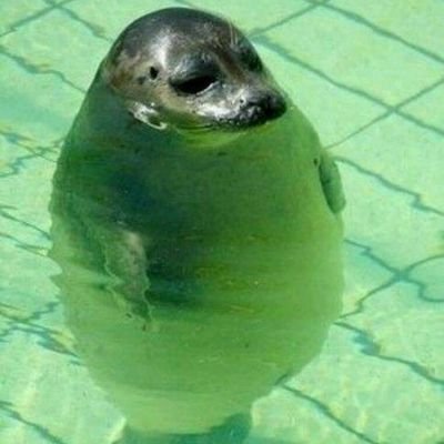 whole_bean