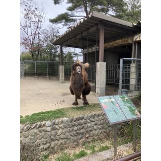 なが