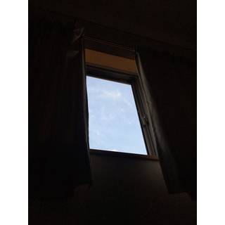 まだ