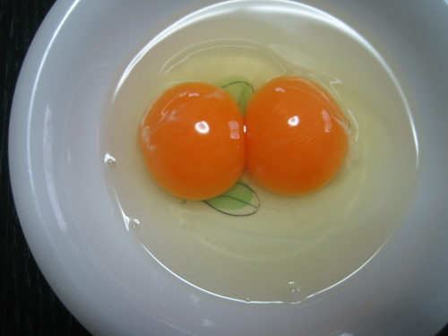 MaOH4