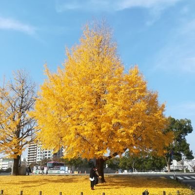げんぞー