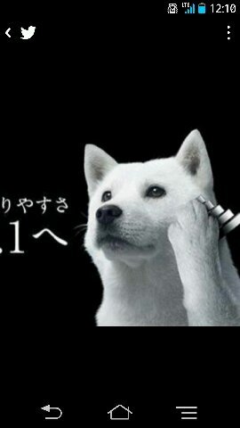 みやにしゆうだい