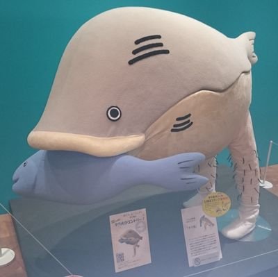 広浅