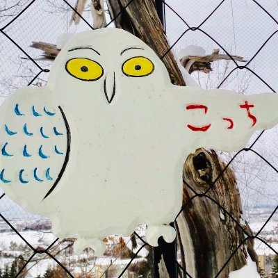 煮こごり