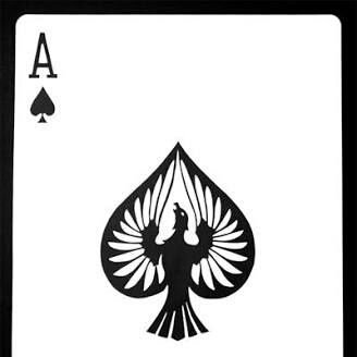dareka82