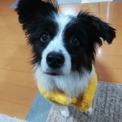 Yuki