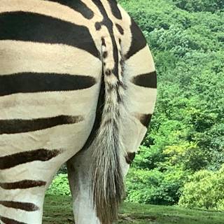 米田至
