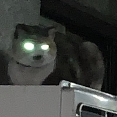 はるき heika- えれ